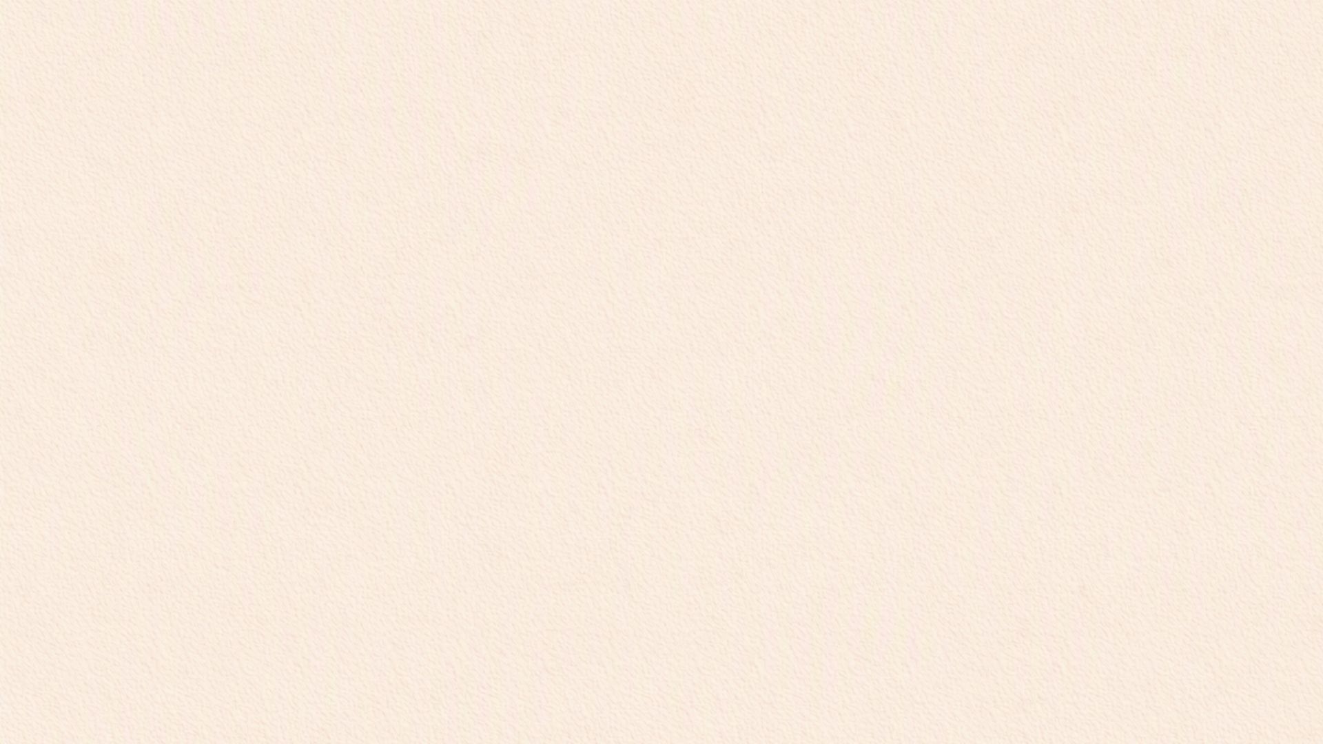 fondo